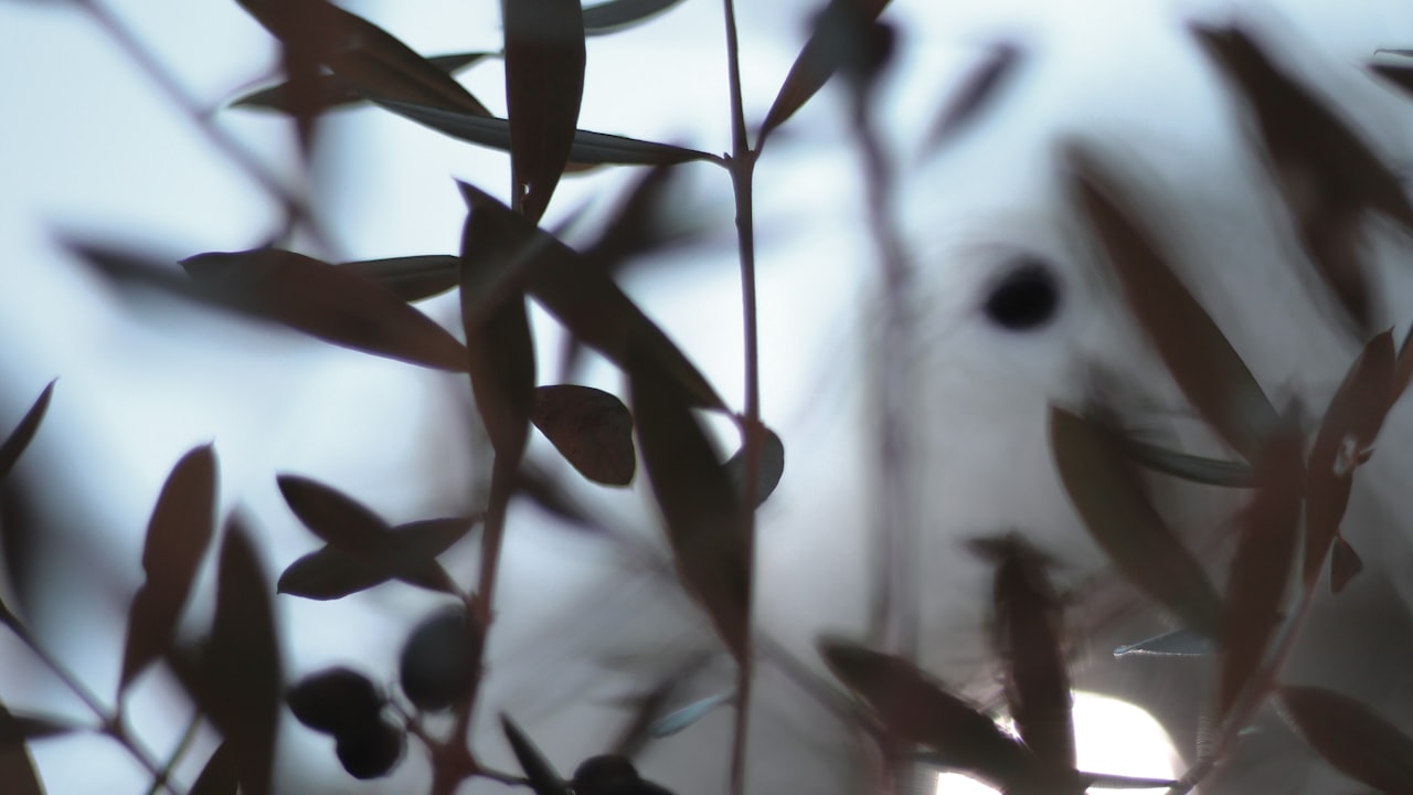 The Top Benefits of Standard Extruded Heat Sink