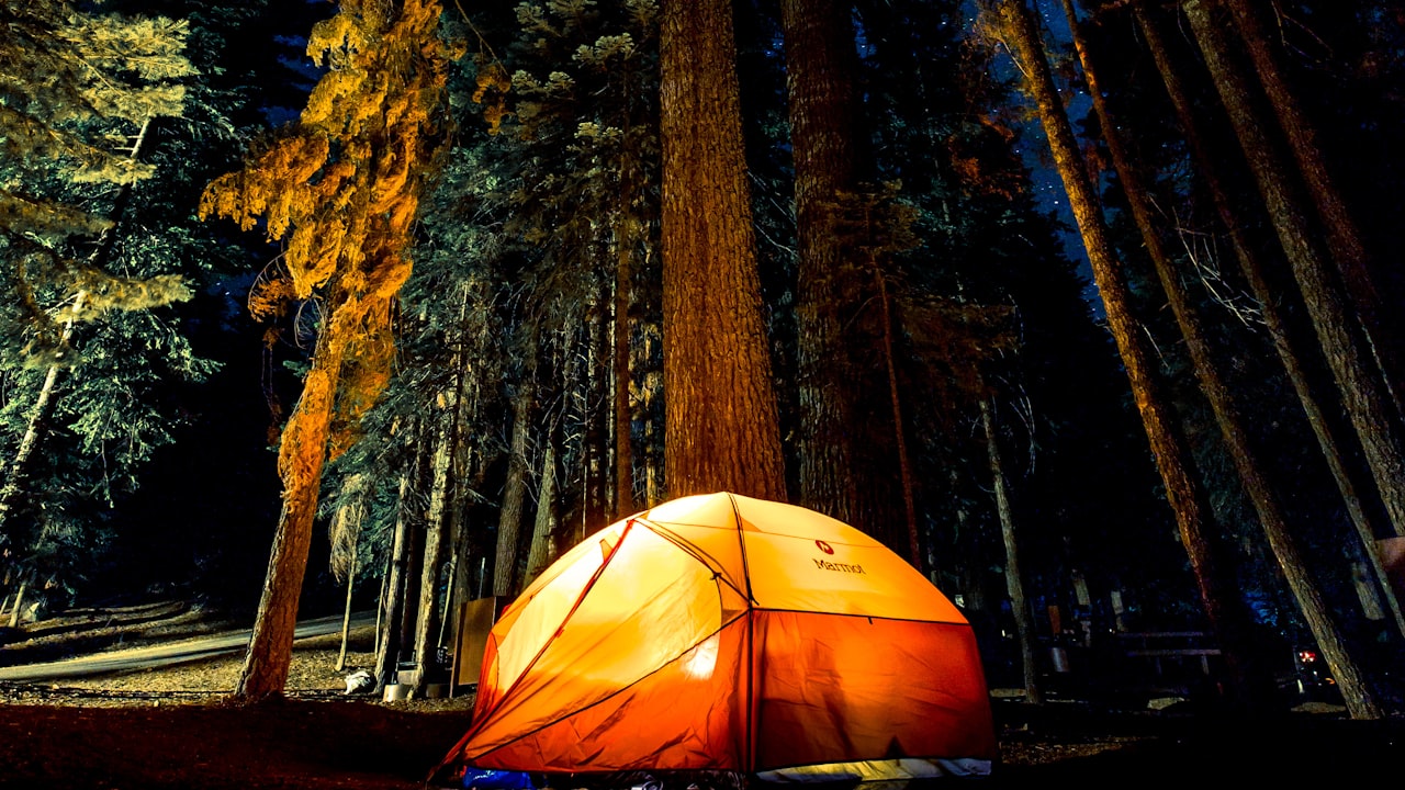 The Importance of Outdoor Play for Children's Development