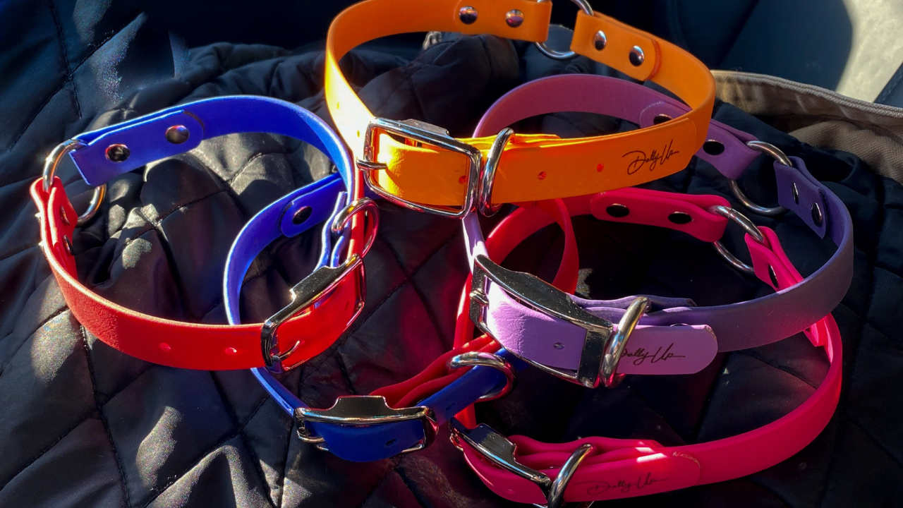 Explore Fire-Resistant TPU Coated Webbing for Transit Safety